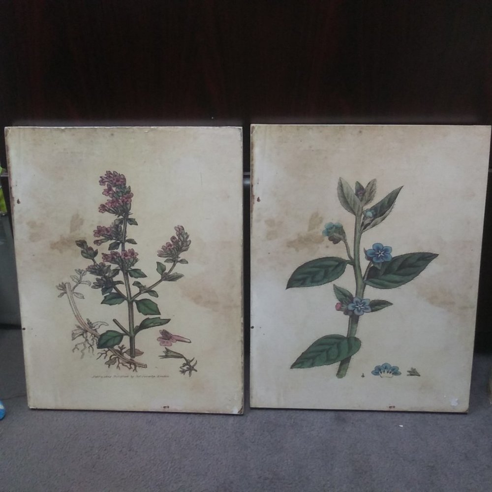 Flower Wall Art